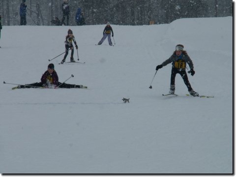 pict0247.jpg