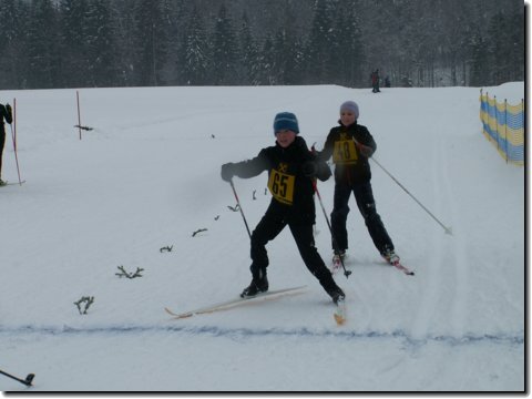 pict0313.jpg